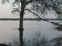 Nsumo Pan Mkuze Game Reserve