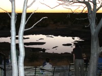 Moringa waterhole Halali