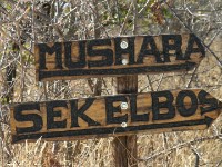 Halali Camp Etosha National Park