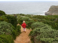 Cape Point