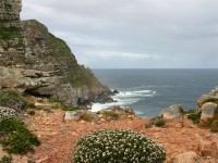 Cape Point