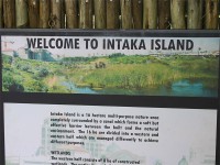 Intaka Island