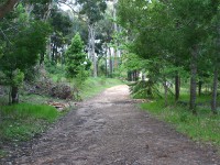 Tokai Arboretum