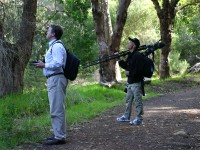 Tokai Arboretum Mark Harrington