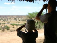 Tarangire Safari Lodge