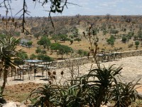 Tarangire Safari Lodge