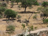 Tarangire Safari Lodge