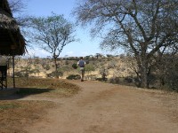 Tarangire Safari Lodge