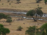 Tarangire Safari Lodge