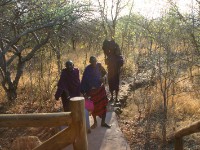 Kirurumu Tented Lodge