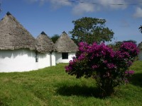 Momela Wildlife Lodge