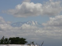 Kilimanjaro