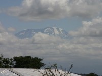 Kilimanjaro