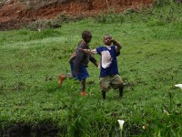 Usambara forest walk