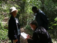 Usambara forest walk