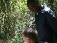 Usambara forest walk