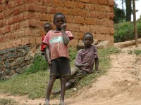 Usambara forest walk