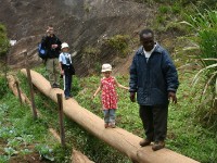 Usambara forest walk