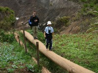 Usambara forest walk